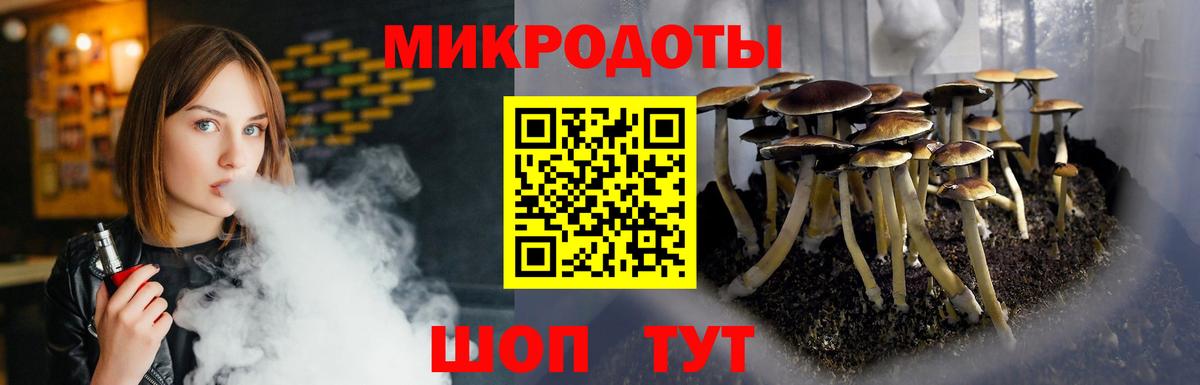 Псилоцибиновые грибы Psilocybe Геленджик