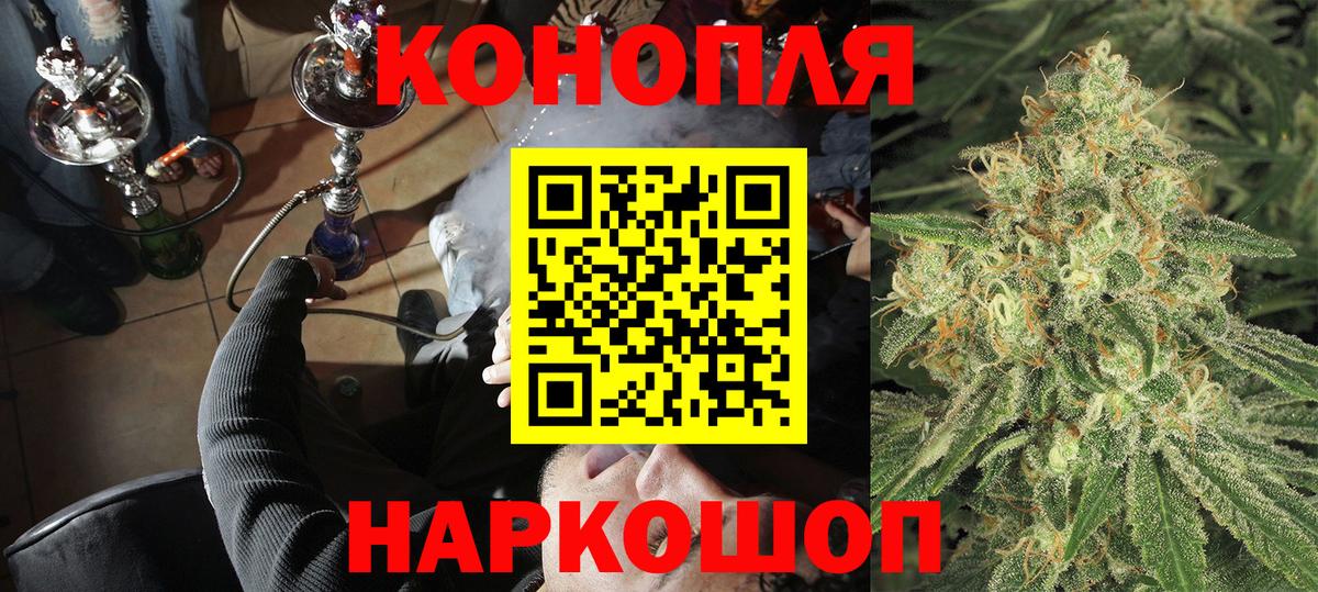 Бошки Шишки гибрид Геленджик